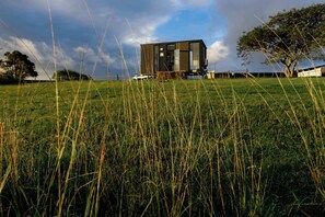 Un bâtiment moderne, de plain-pied, doté d’un toit plat, entouré d’un champ verdoyant et d’un grand arbre.
