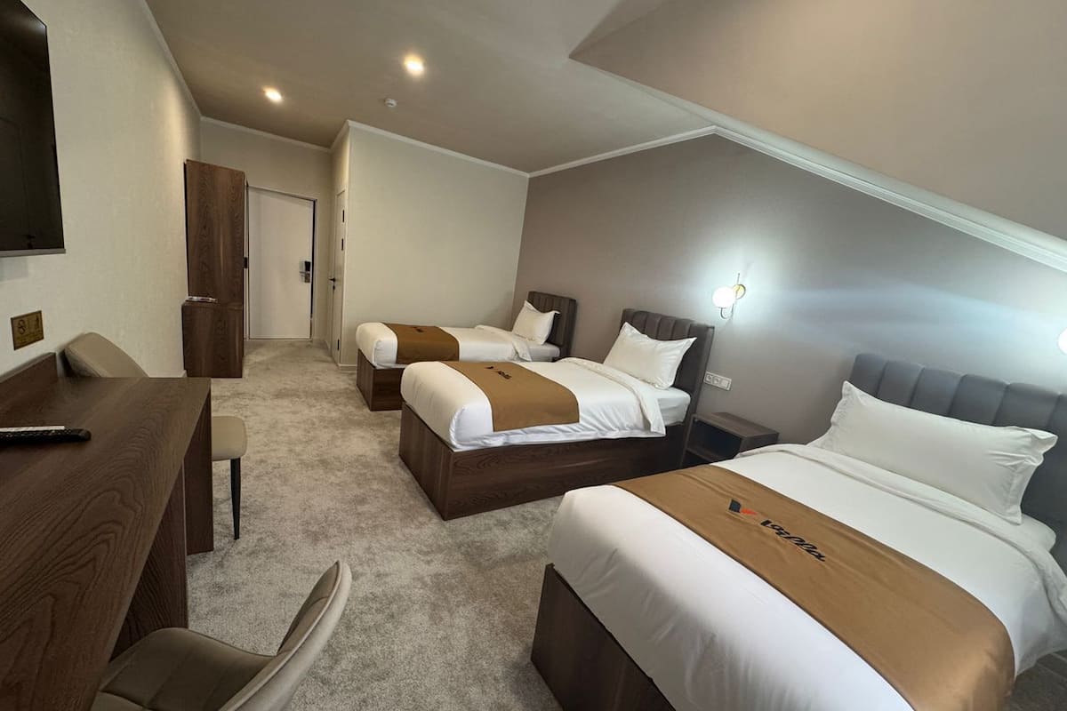 Standard Triple Room | In-room safe, laptop workspace, blackout curtains, iron/ironing board