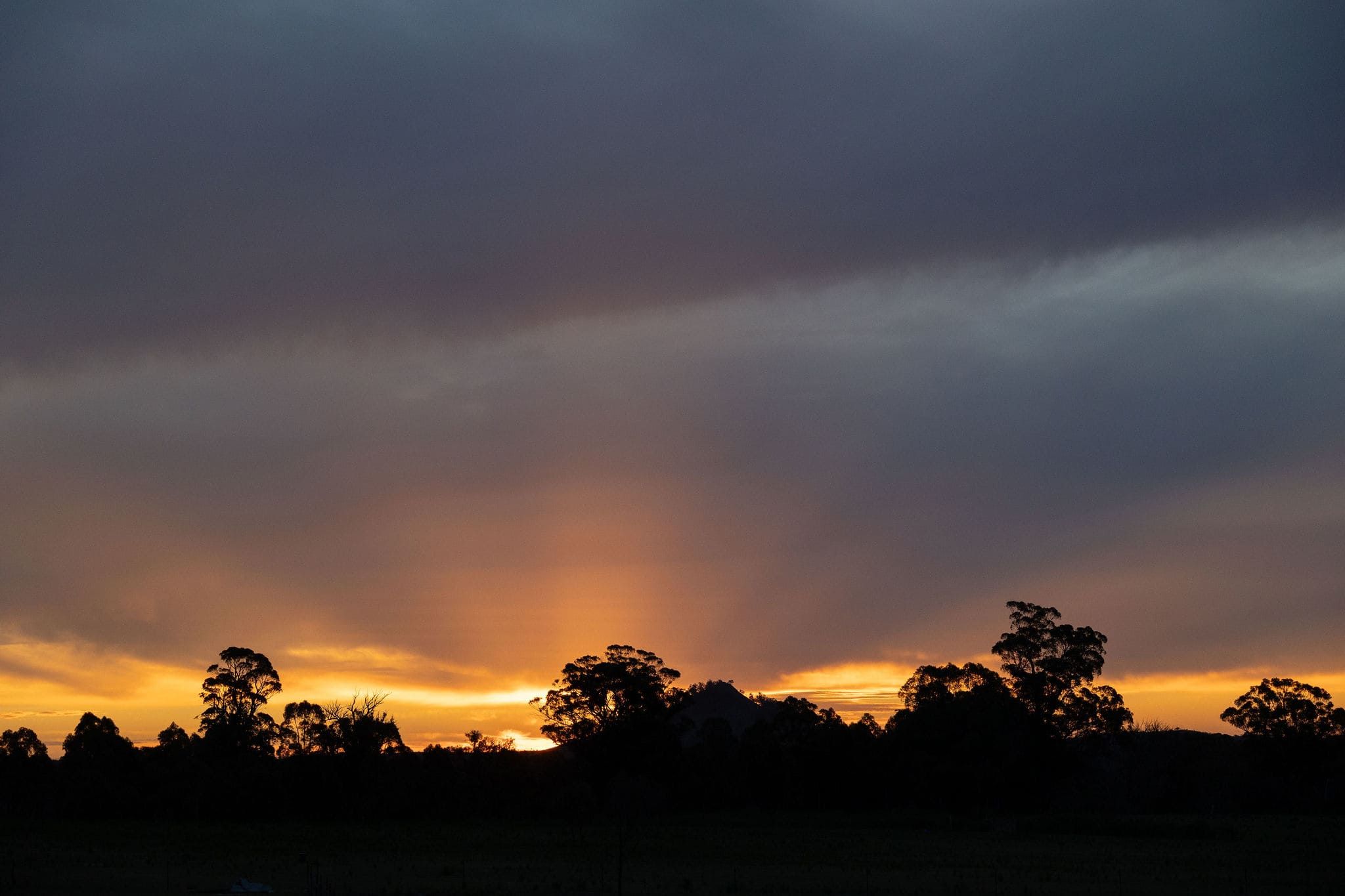 A landscape with a silhouette of trees against a sunset sky.
