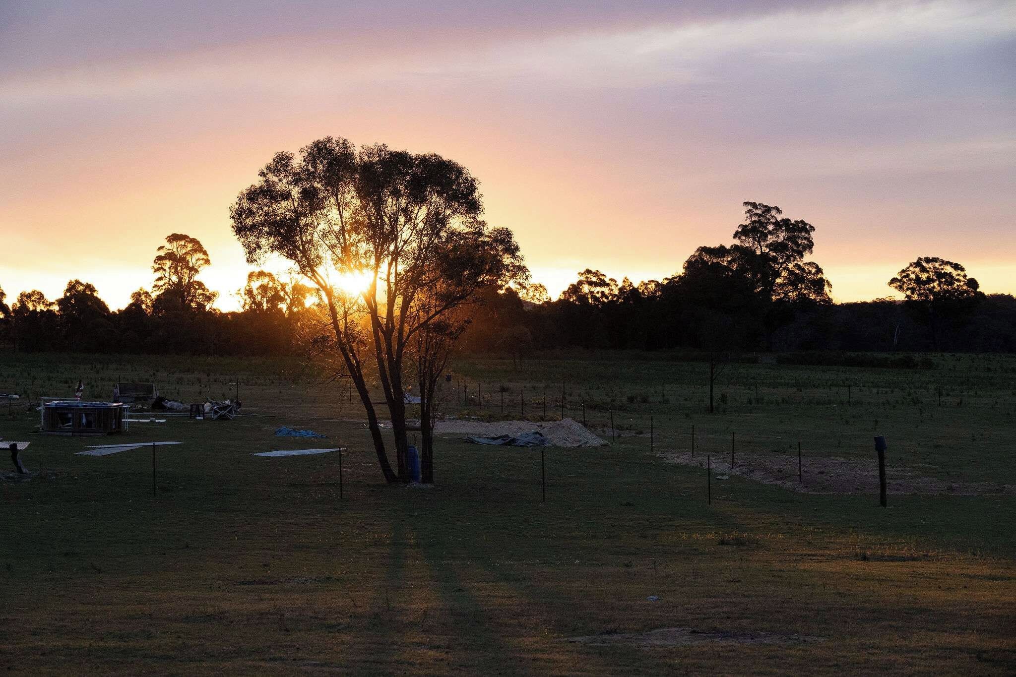 Um campo com uma única árvore e uma cerca em primeiro plano, com um pôr do sol ao fundo.