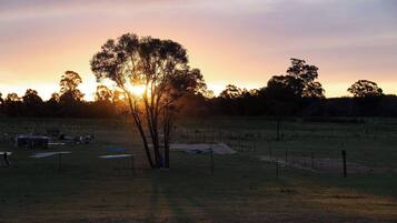 Um campo com uma única árvore e uma cerca em primeiro plano, com um pôr do sol ao fundo.
