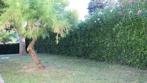 Ein Garten mit Baum, Hecke und Rasen.