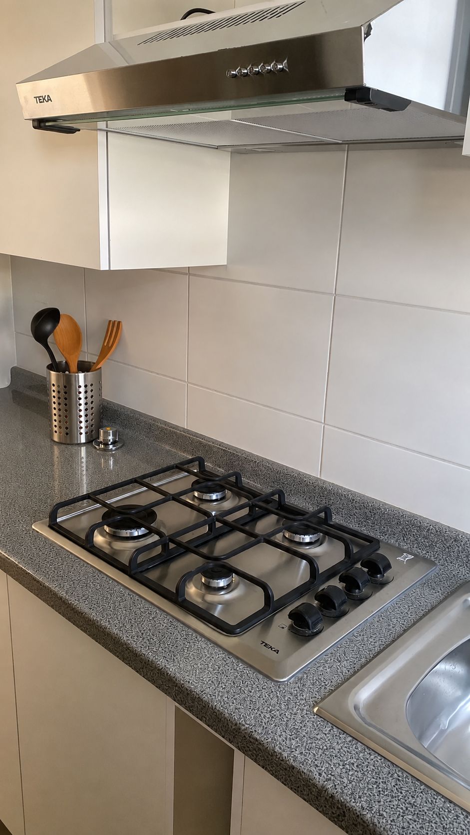 Una cocina con estufa a gas, campana extractora de acero inoxidable y pileta de acero inoxidable.