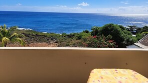 Property grounds - Cozy apartment in quiet area with fantastic sea view and swimming pool, (Riviere Noire)