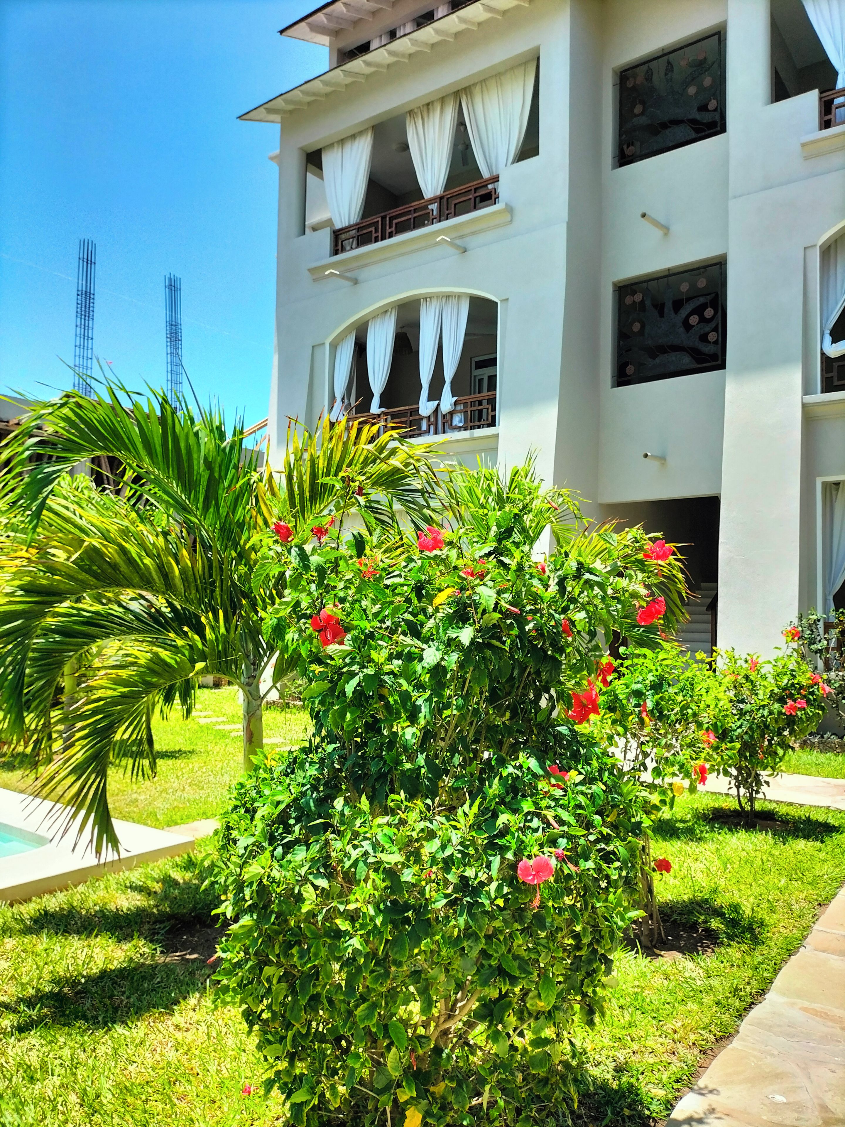 Un edificio de varios pisos con balcones, piscina y abundante vegetación.