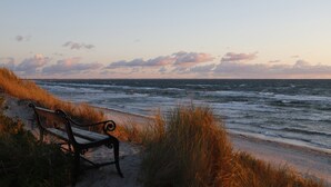 Un banc sur une plage de sable, avec l’océan en arrière-plan.