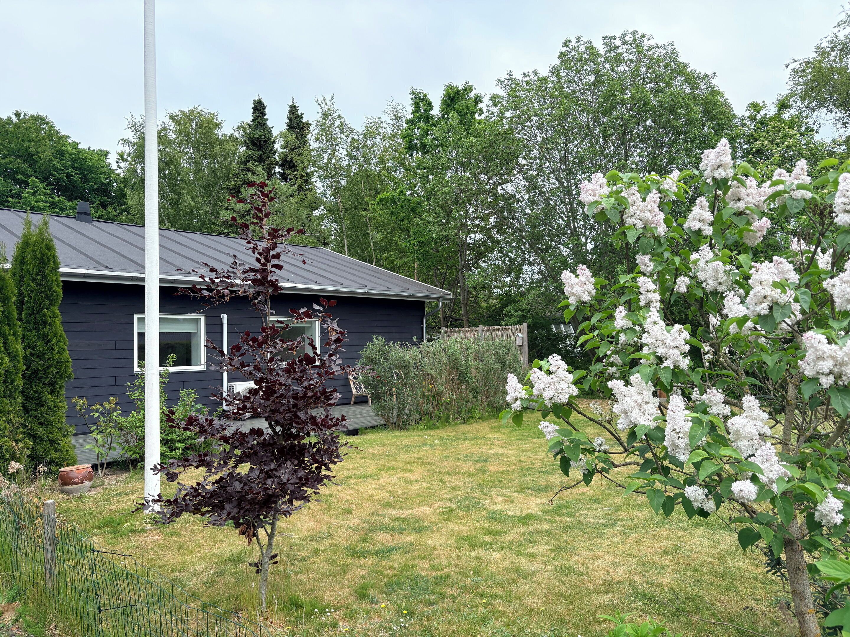 Una propiedad residencial con una casa de color oscuro, una cerca blanca y un jardín con arbustos florecientes.