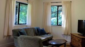 A living room with a sofa, a coffee table, a TV stand, and two windows with curtains.