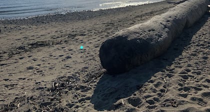 Private cottage in the heart of the creek - 5 min walk to beach & Gumboot cafe!