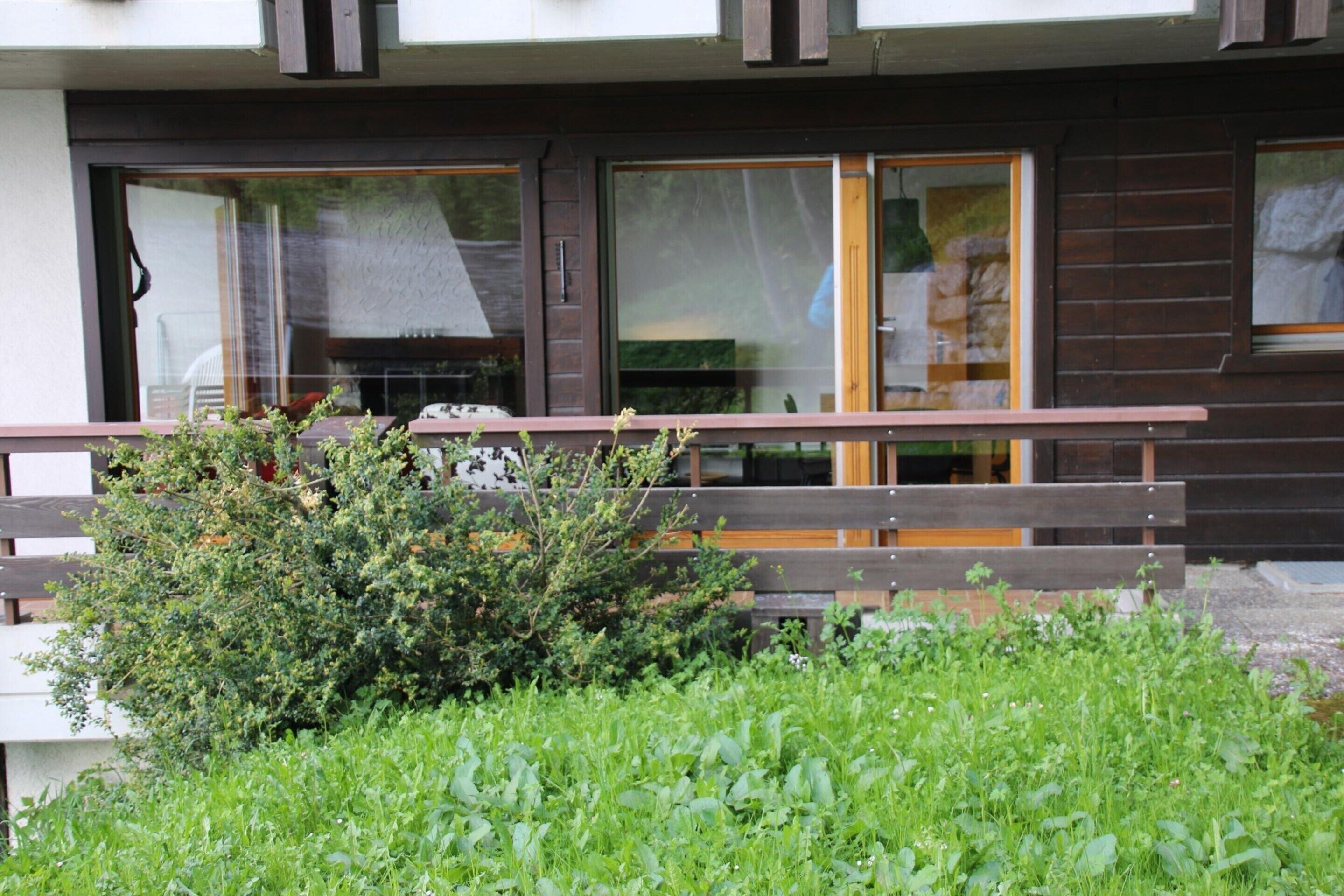 A building with large windows, a wooden bench, and a small bush in front.
