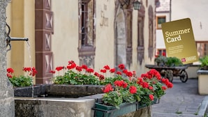 A street scene with a fountain, red flowers, and a building with a sign. - Gasthof Stern (Oetz)