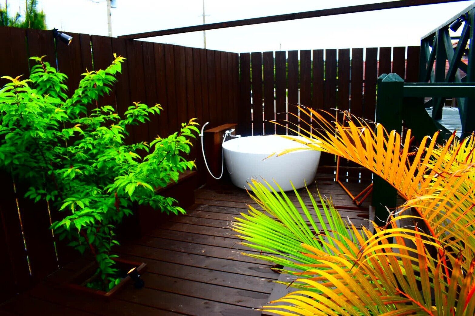 House | Terrace/patio