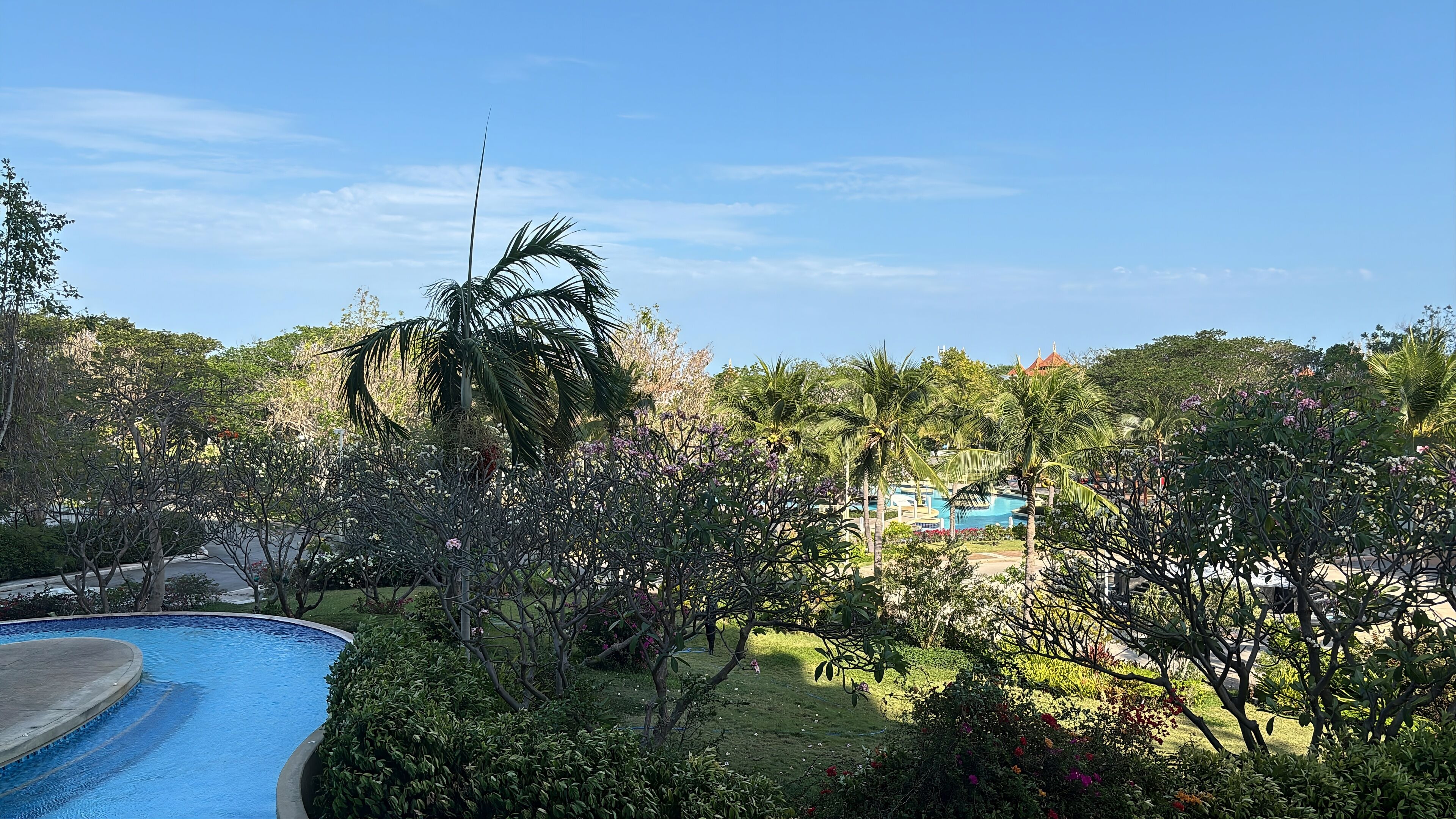 A pool surrounded by lush greenery and a clear blue sky.