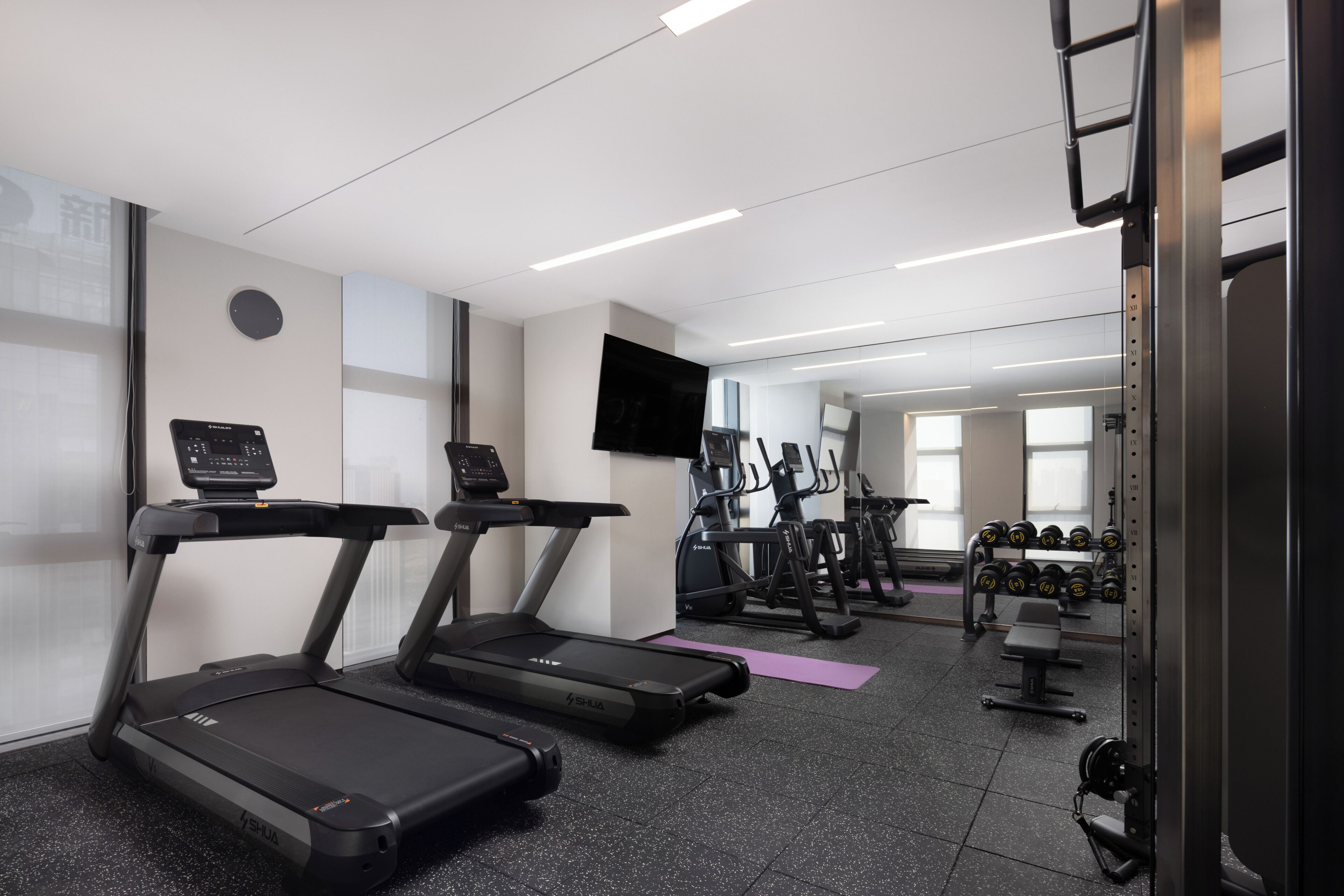 A gym with treadmills, ellipticals, and weight machines.