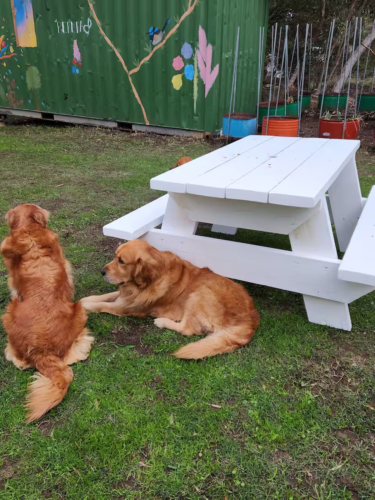 屋外ダイニングエリア