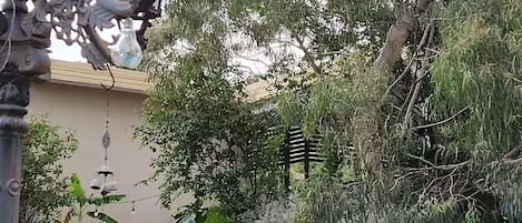 外部細節