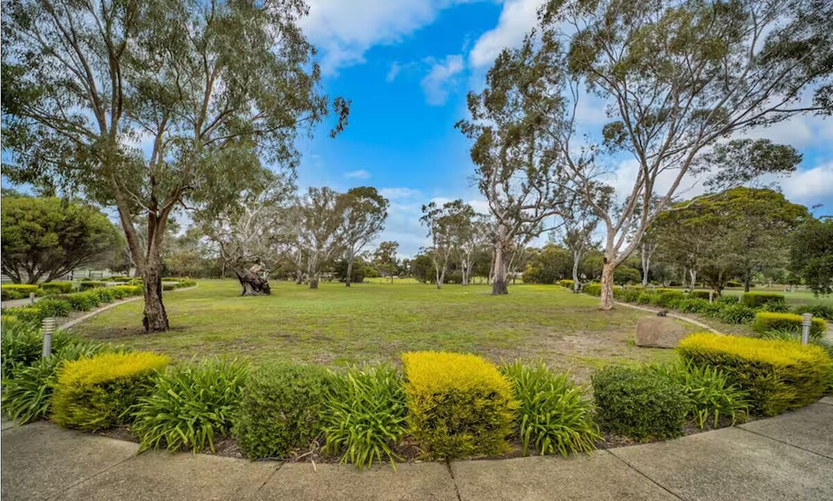 A park with a grassy area, trees, and a clear sky.