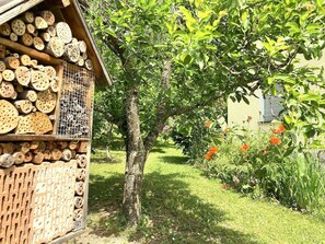 Ein Garten mit einer hölzernen Konstruktion, darin liegen Baumstämme, und mittendrin steht ein Baum.