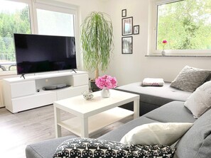Fernseher