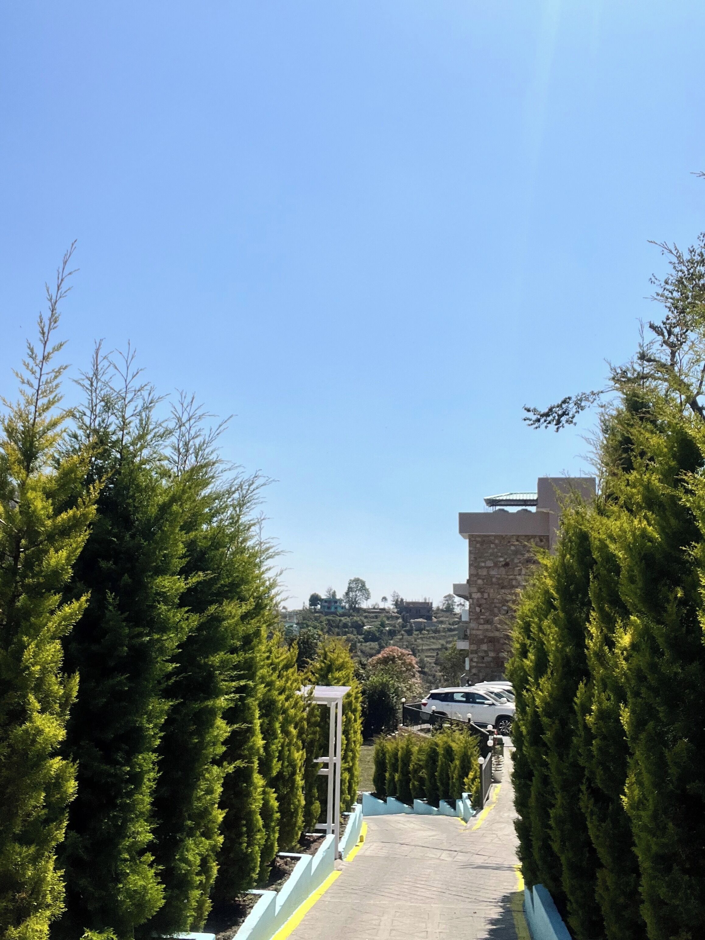 Un sentier bordé de grands arbres à feuilles persistantes qui mène à un bâtiment à la façade en pierre.