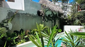 Zona residencial con piscina, un muro de concreto y algo de vegetación.