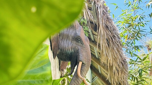 Una estatua de un elefante en un jardín exuberante con hojas verdes grandes y una estructura de techo de paja.