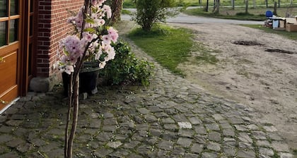 An'n Feldkamp — Ferienwohnung auf dem Bauernhof