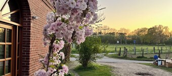 An'n Feldkamp — Ferienwohnung auf dem Bauernhof