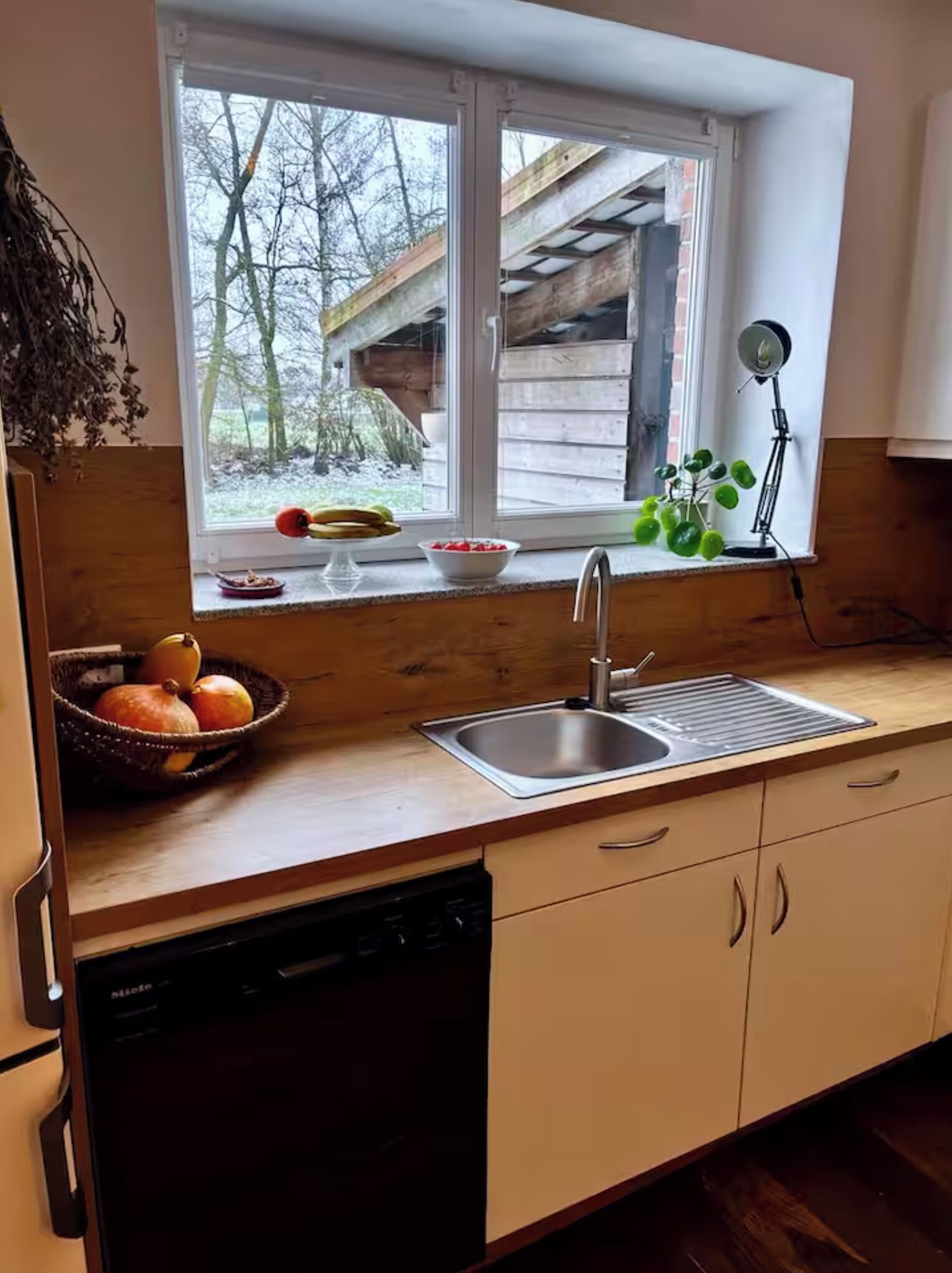 Mikrowelle, Ofen, Herdplatte, Geschirrspüler