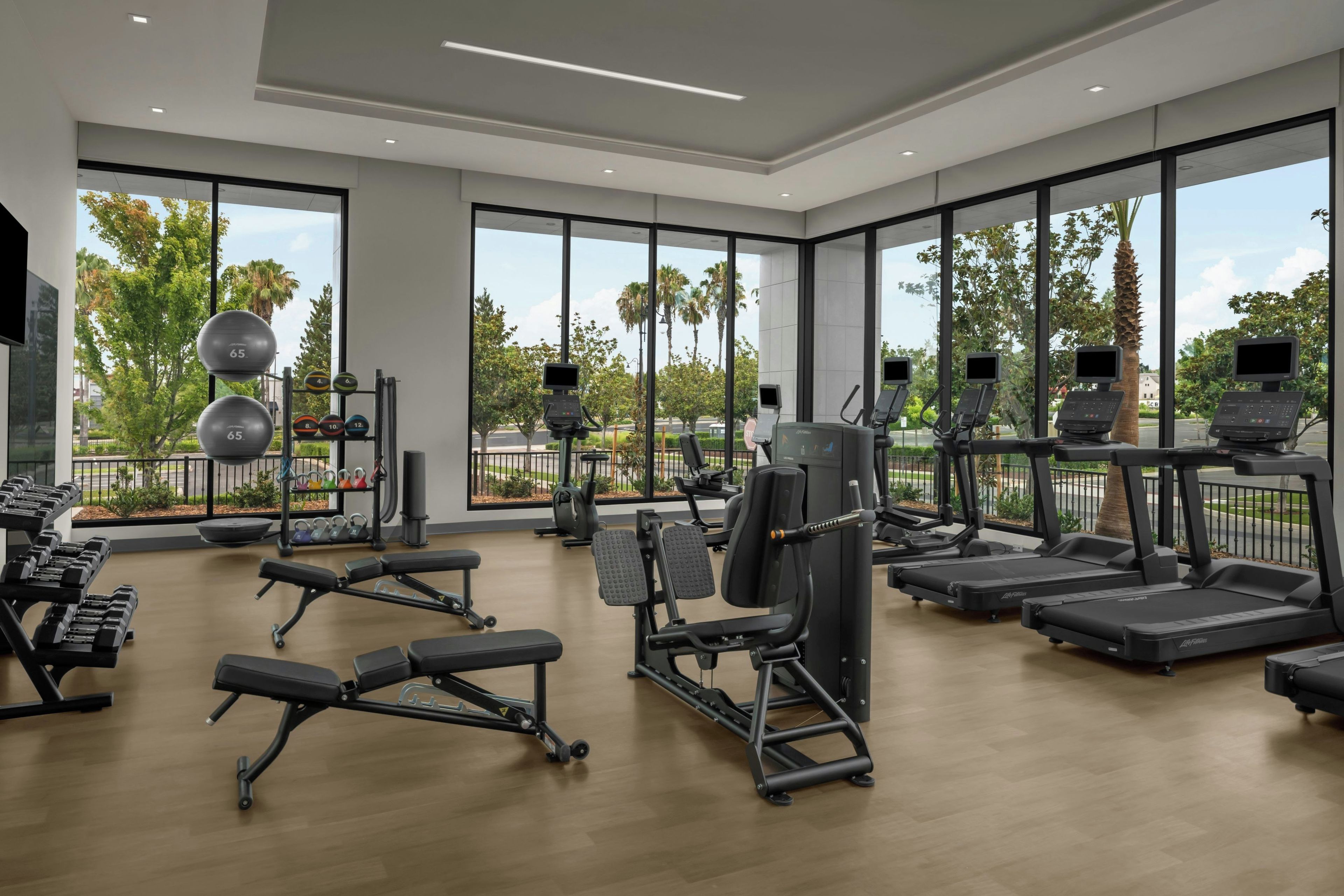 A modern gym with various exercise equipment, large windows, and a view of palm trees.