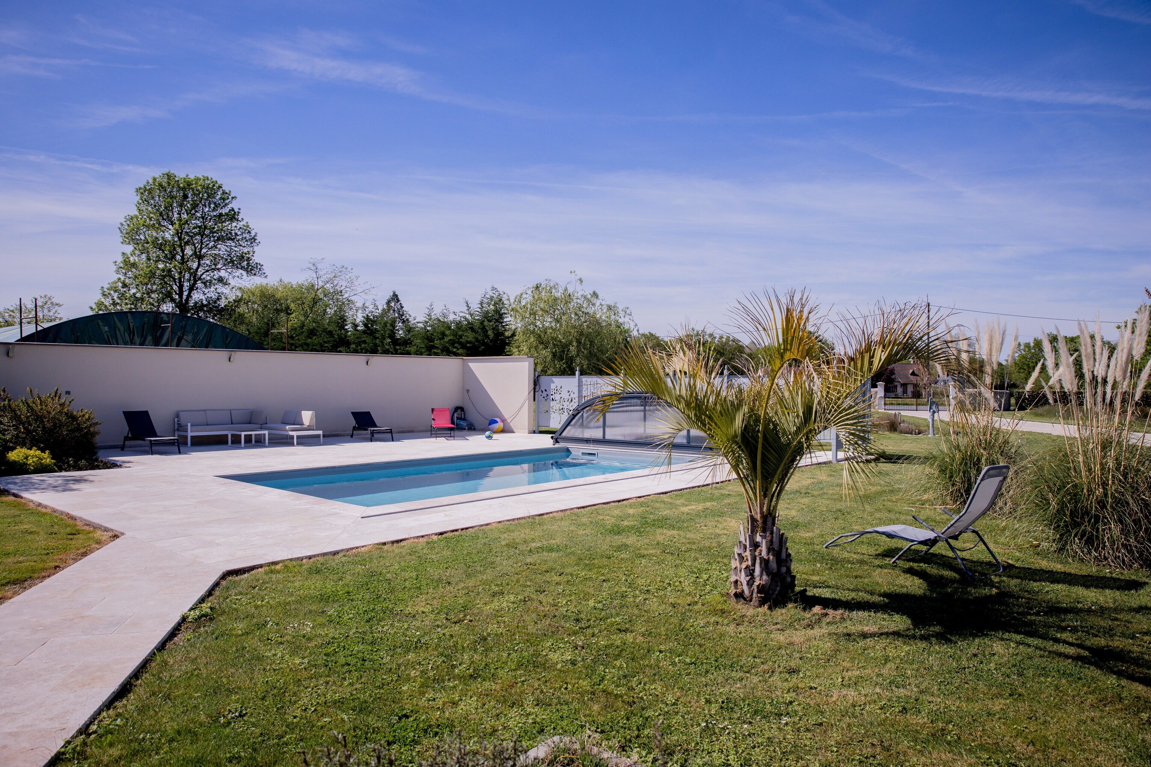 A backyard with a swimming pool, lounge chairs, and a palm tree.