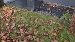 A modern building with a glass door entrance, a concrete exterior, and a gravel area with scattered leaves. - Modern studio near Krakow Old Town + WiFi (Kraków)