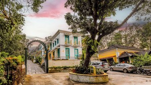 Una calle con un edificio, un árbol y coches estacionados.
