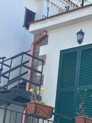 Un bâtiment doté d’un escalier, d’une porte à volets verts, d’une rambarde en métal et d’un pot de fleurs contenant des fleurs jaunes.