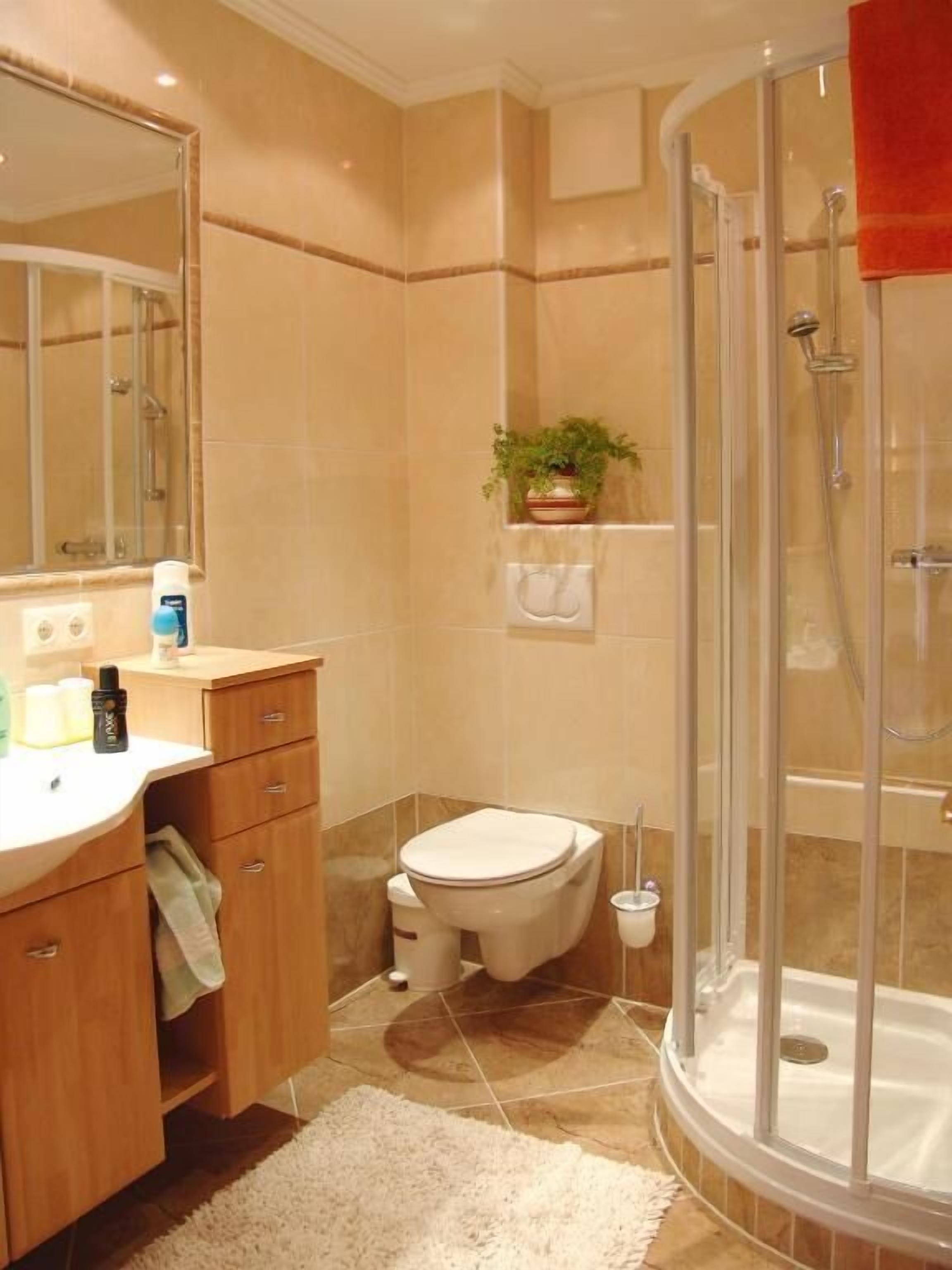 Un baño con ducha, inodoro, lavamanos y espejo.