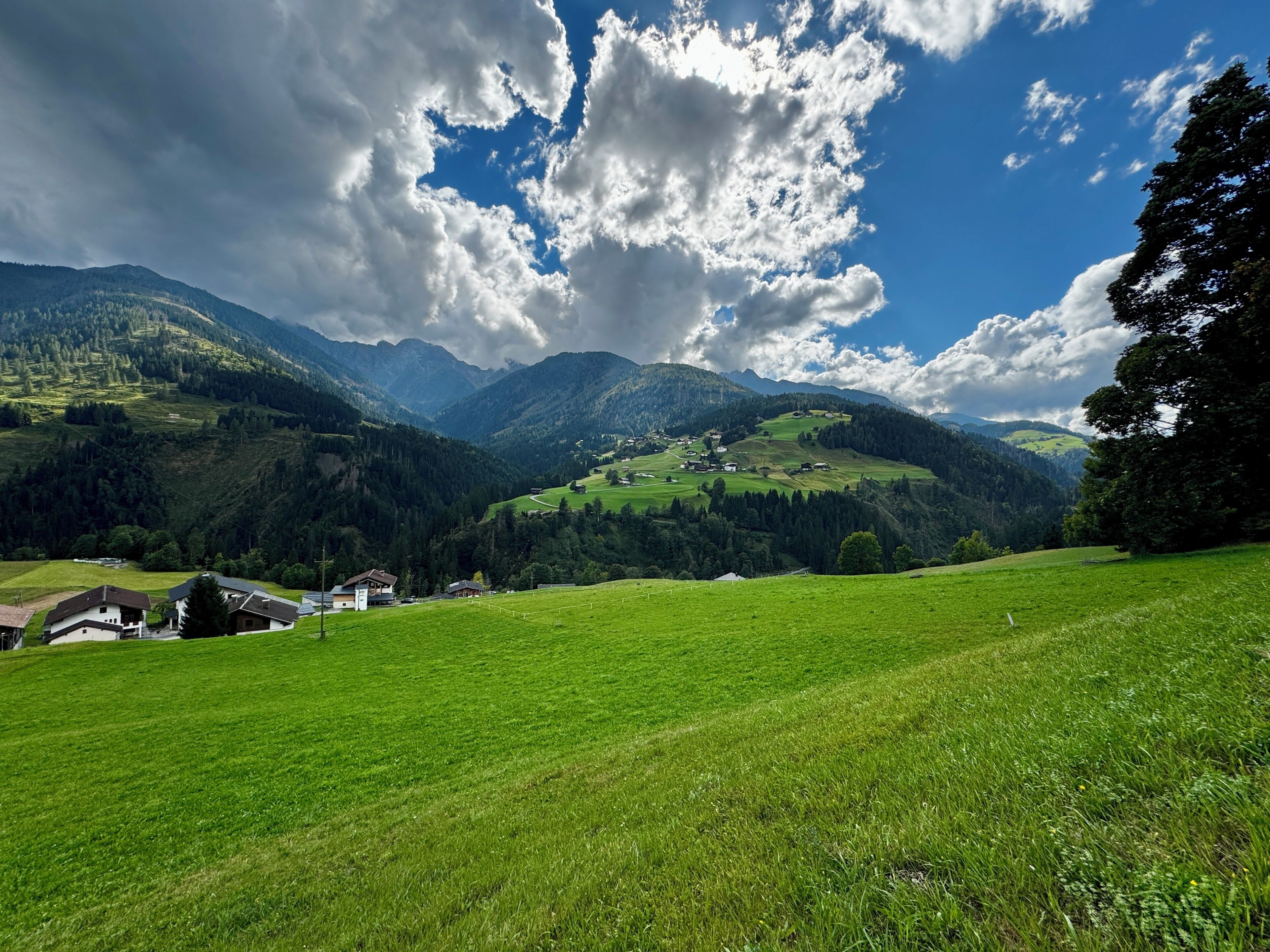 A rural landscape with green fields, a few houses, and mountains in the background.