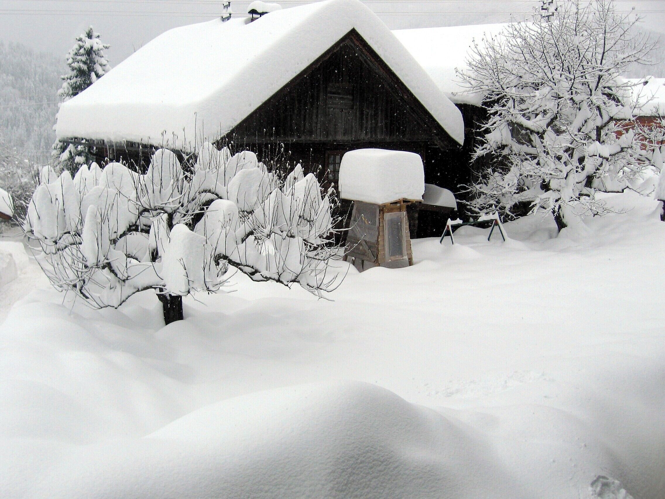 Familien-Vierbettzimmer, Balkon, Bergblick | Unterkunftsgelände