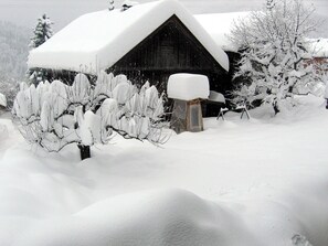 Habitación cuádruple familiar, balcón, vista a la montaña | Áreas de la propiedad