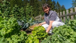 Una persona agachada en un jardín con plantas frondosas y una valla de madera al fondo.