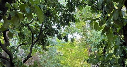 XXL house & jacuzzi for 6-8 people Private forest in the heart of Vieux-Lyon