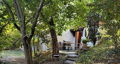 Logement entier dans un coin de verdure en pleine ville