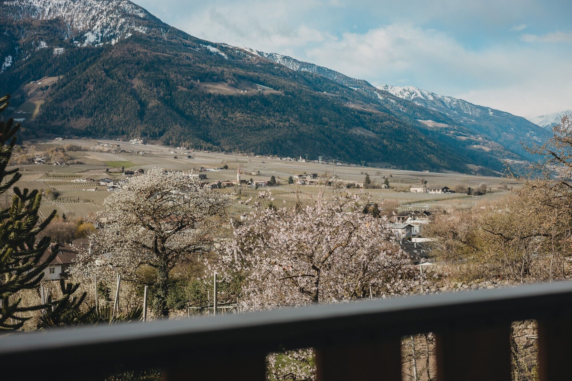 Parco della struttura