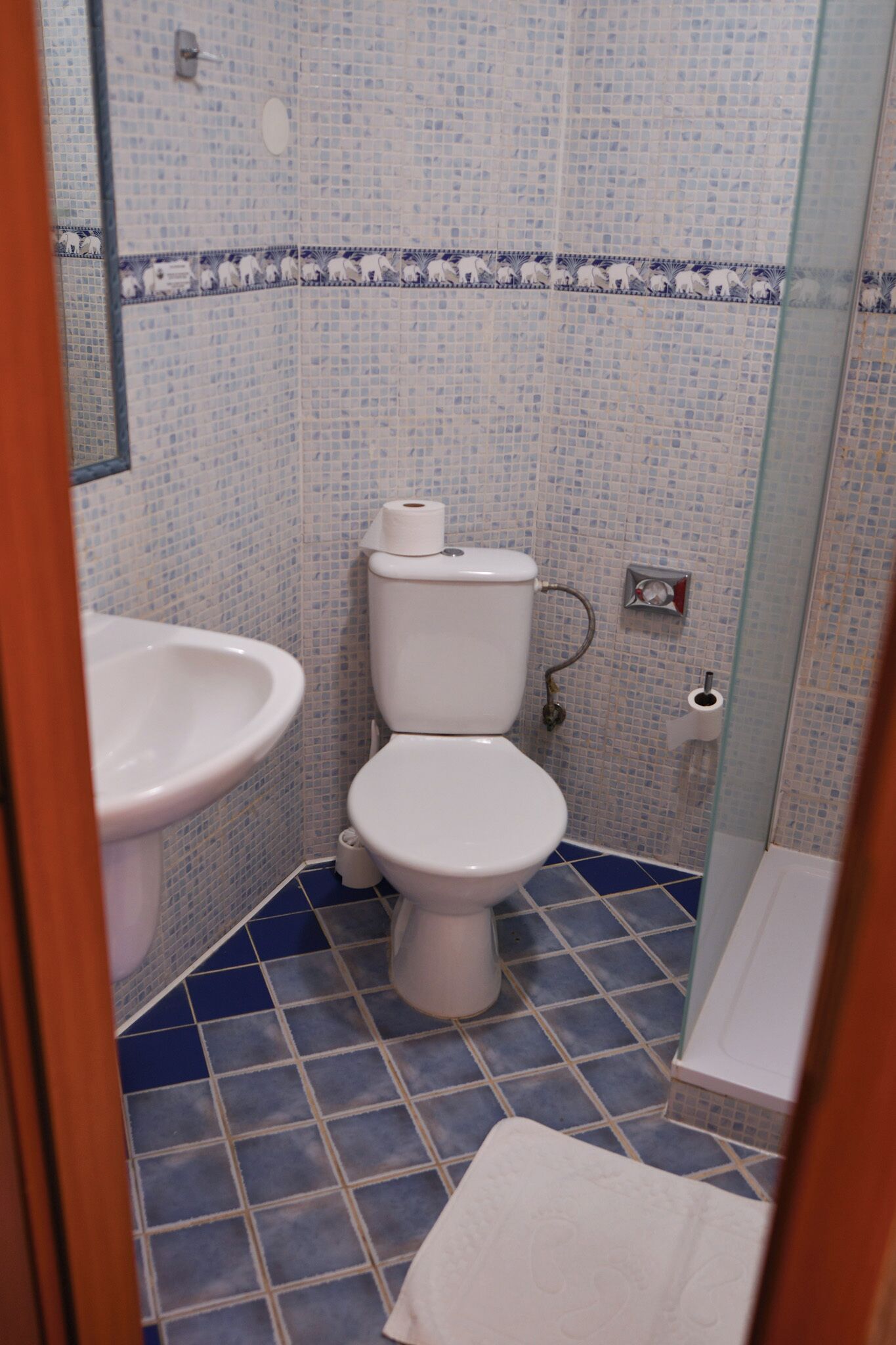 A bathroom with a toilet, bidet, and a glass shower enclosure.