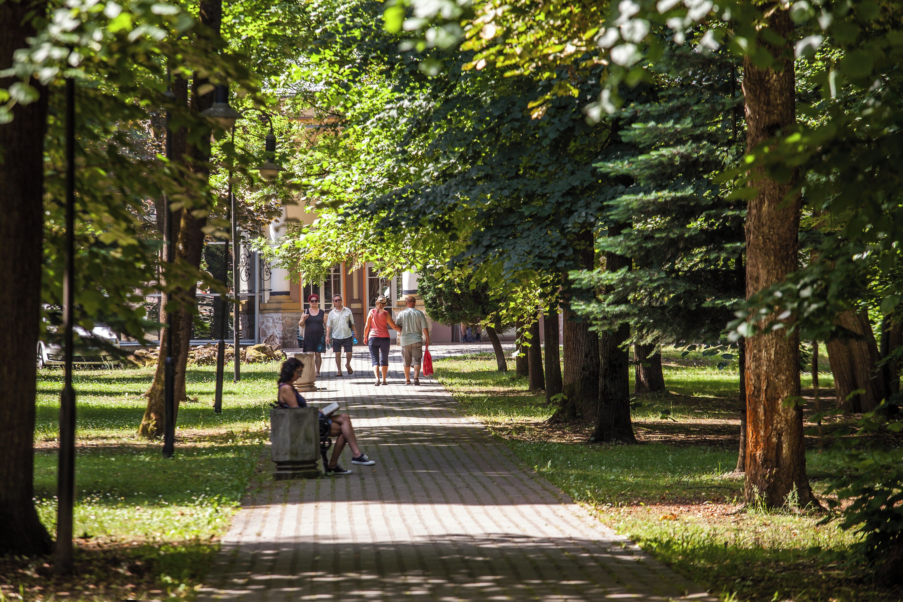 A paved pathway in a park with trees on either side.