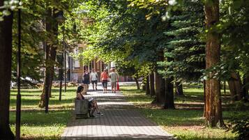 A paved pathway in a park with trees on either side.
