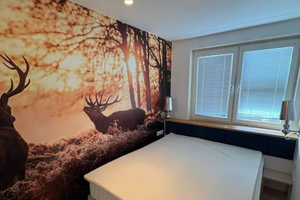 舒適公寓, 城市景