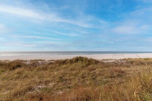 Ein Strand mit einer Umzäunung und grasbewachsenen Dünen.
