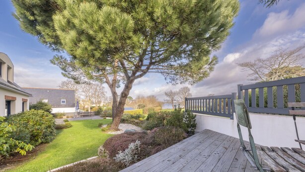 Une terrasse en bois avec un banc, un arbre et une pelouse bien entretenue.