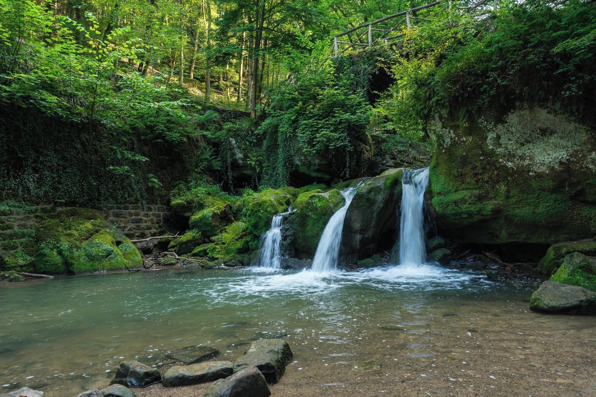 A natural waterfall in a forested area with clear water and surrounding greenery.