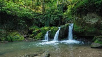 A natural waterfall in a forested area with clear water and surrounding greenery.